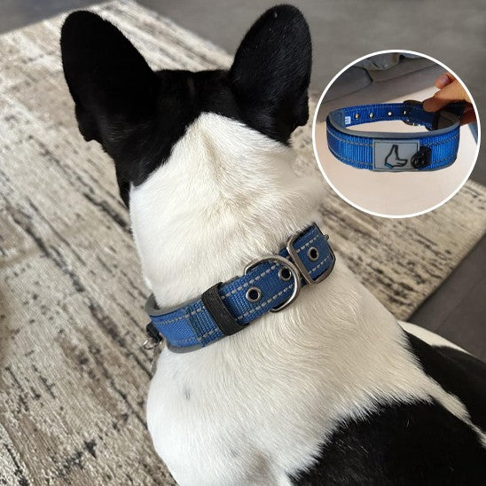 Collier chien | Moelleux