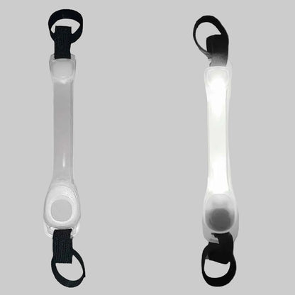 collier chien fluorescent blanc