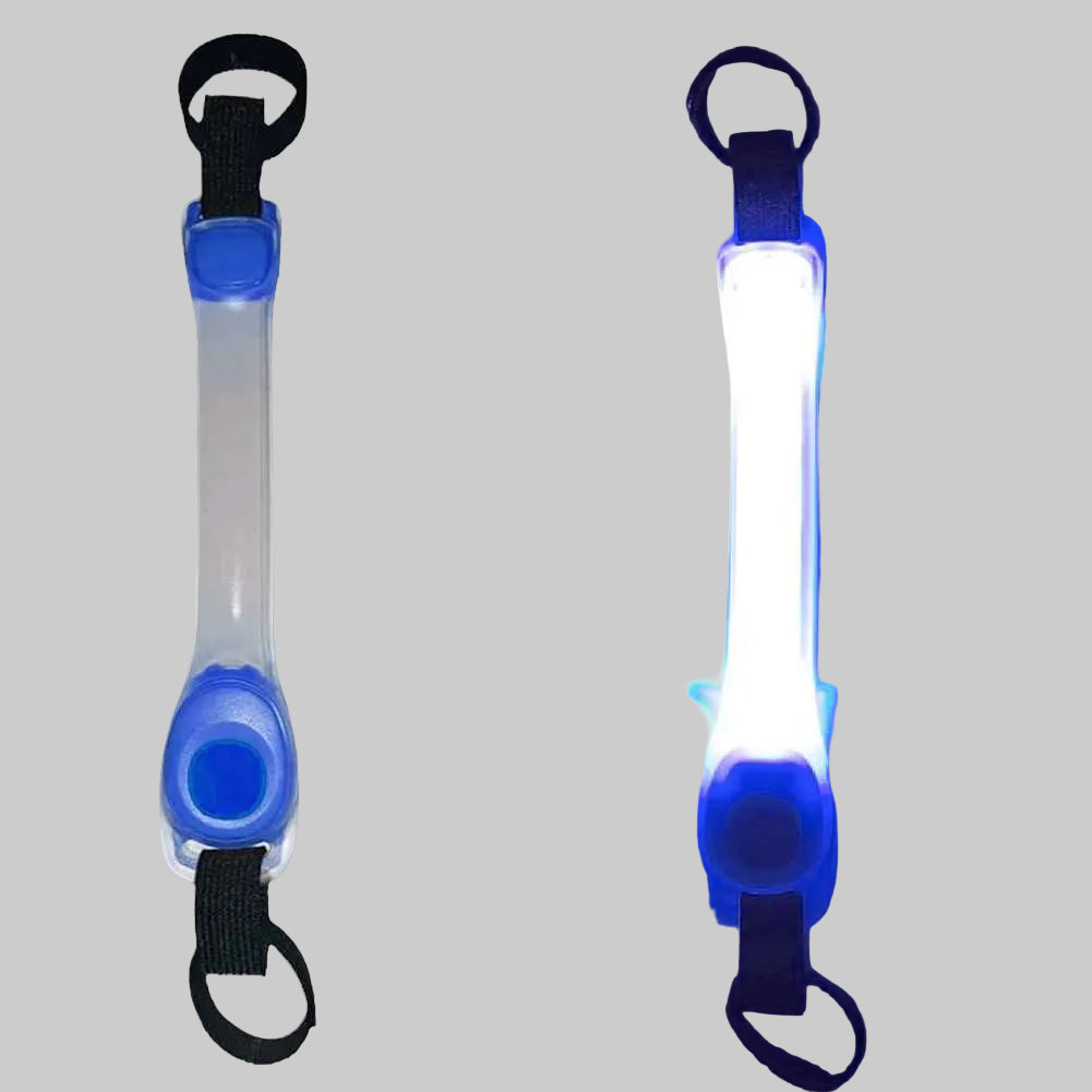 collier chien fluorescent bleu