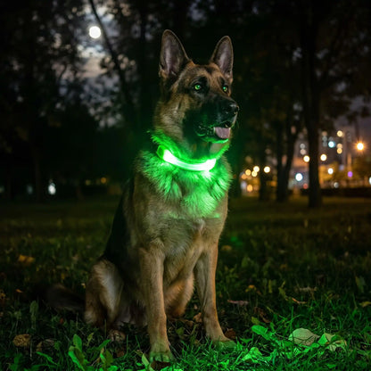 collier-chien-fluorescent confortable