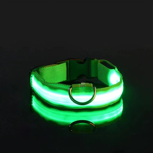 collier chien fluorescent en nylon résistant et durable
