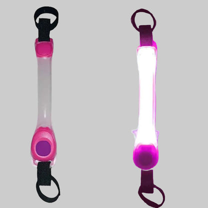 collier chien fluorescent rose