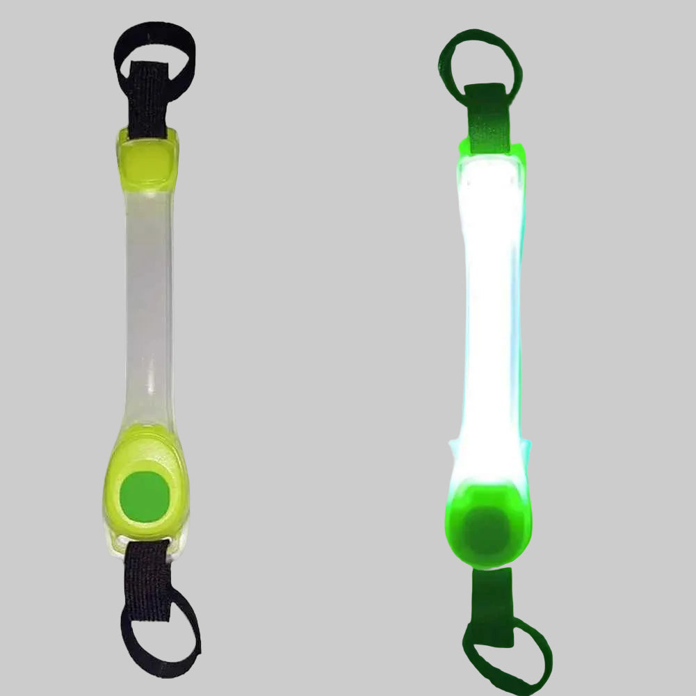 collier chien fluorescent vert