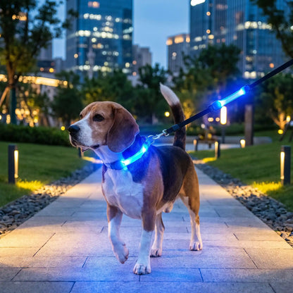 collier chien fluorescent 