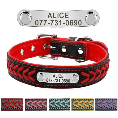 collier chien personnalisé avec doublure intérieure en velours doux