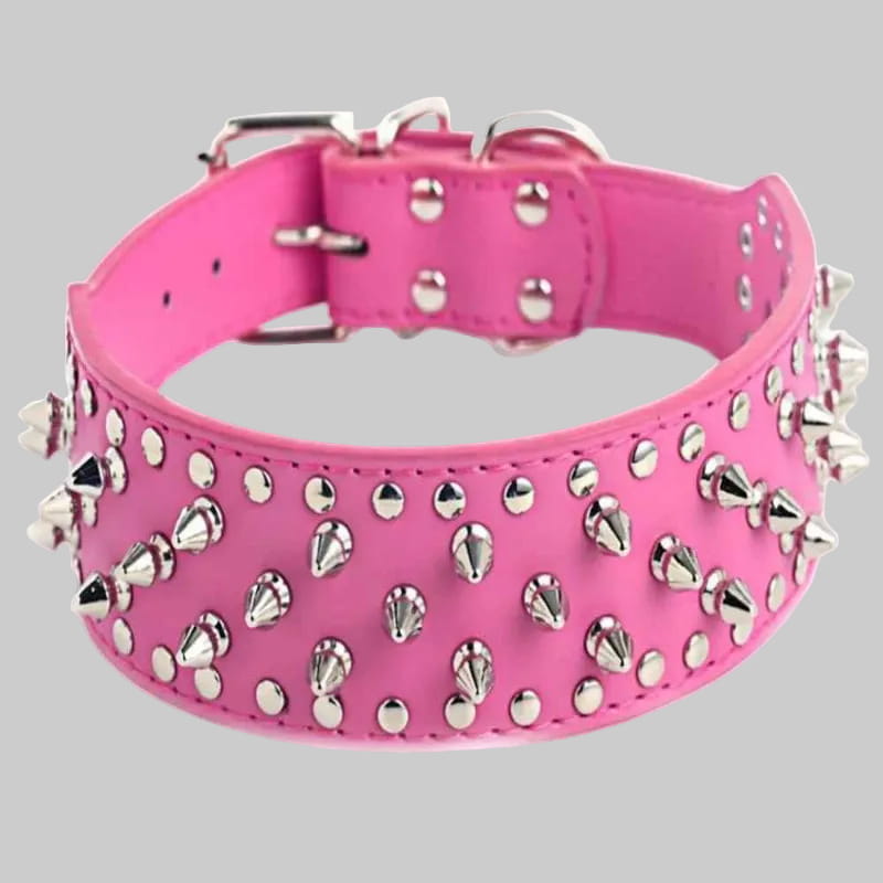 collier chien rose