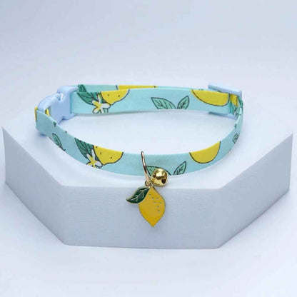  collier chiot bleu