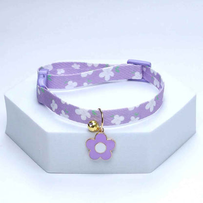  collier chiot violet