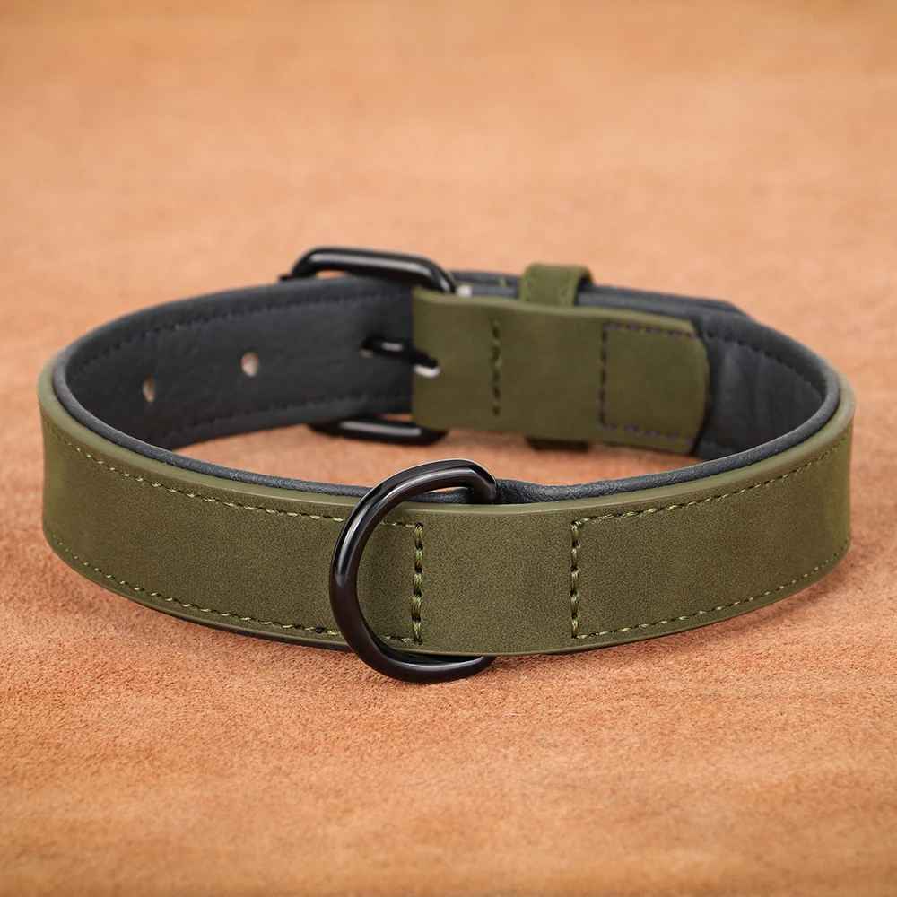 collier confortable pour chien vert