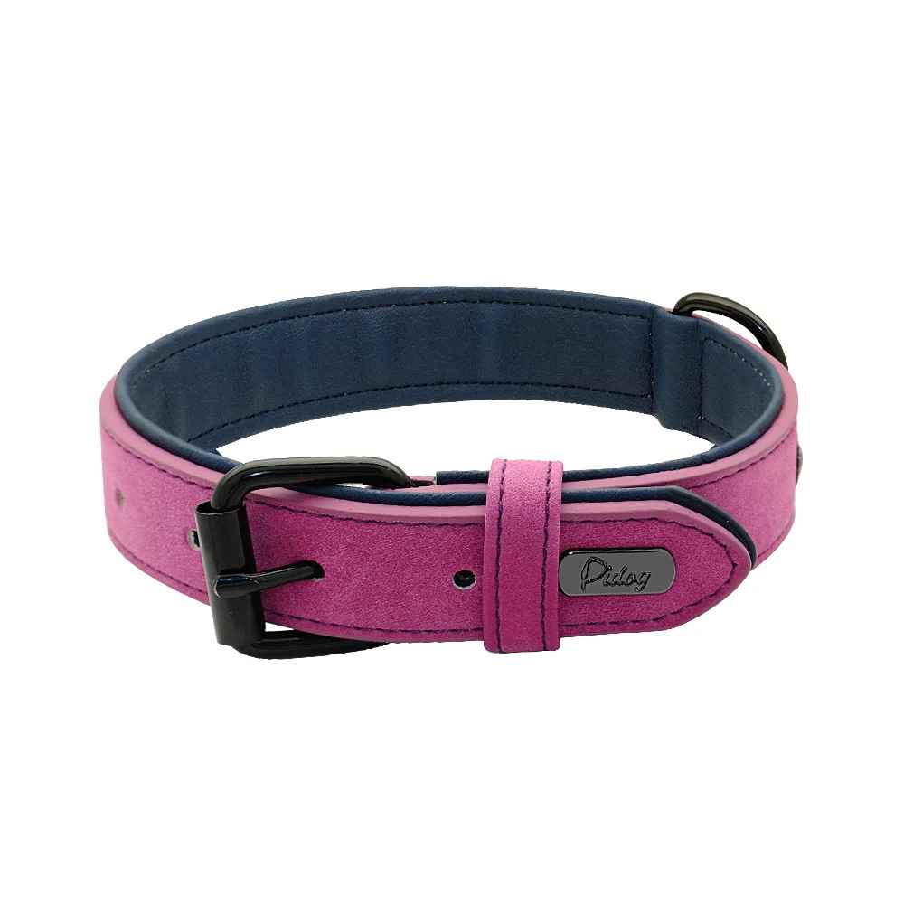 collier confortable pour chien violet
