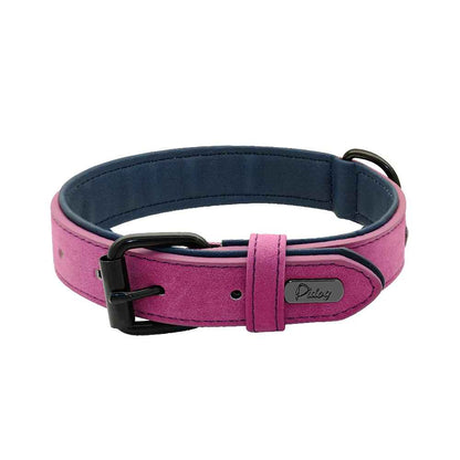 collier confortable pour chien violet