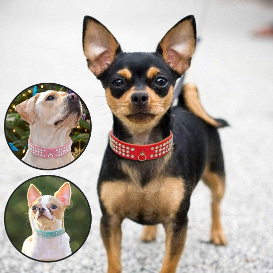 collier cuir chien élégant