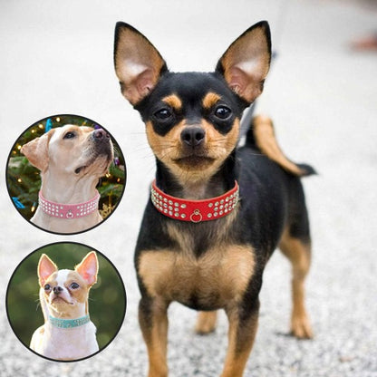 collier cuir chien élégant