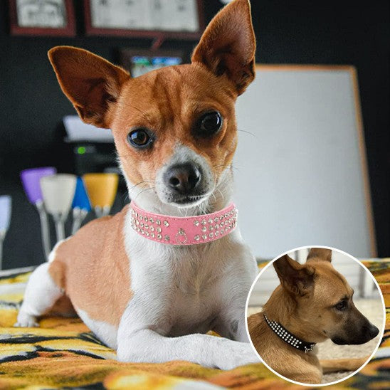 collier cuir chien léger