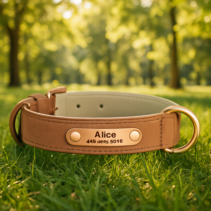  collier cuir chien personnalisable marron