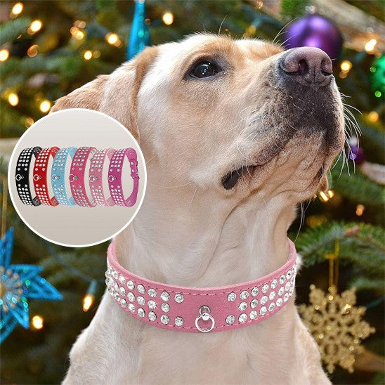 collier cuir chien résistant
