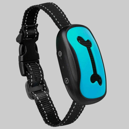 Collier de dressage pour Chien | Éducation rapide - Excursion Chien