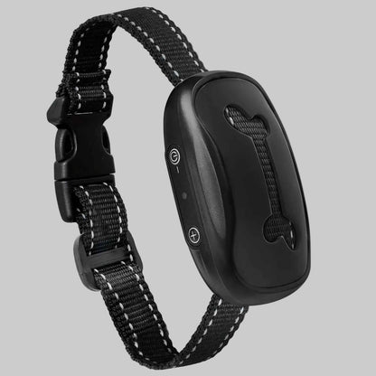 Collier de dressage pour Chien | Éducation rapide - Excursion Chien
