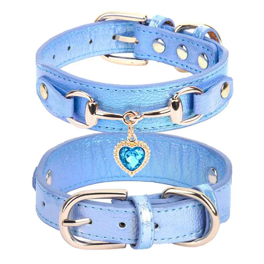 Collier en Cuir Pour Chien Bleu | Anti-irritation - Excursion Chien