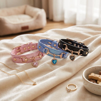 Collier en Cuir Pour Chien Bleu | Anti-irritation - Excursion Chien