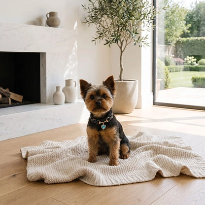 Collier en Cuir Pour Chien Noir | Élégance Premium - Excursion Chien
