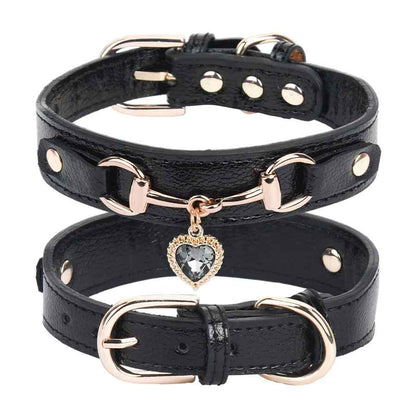 Collier en Cuir Pour Chien Noir | Élégance Premium - Excursion Chien