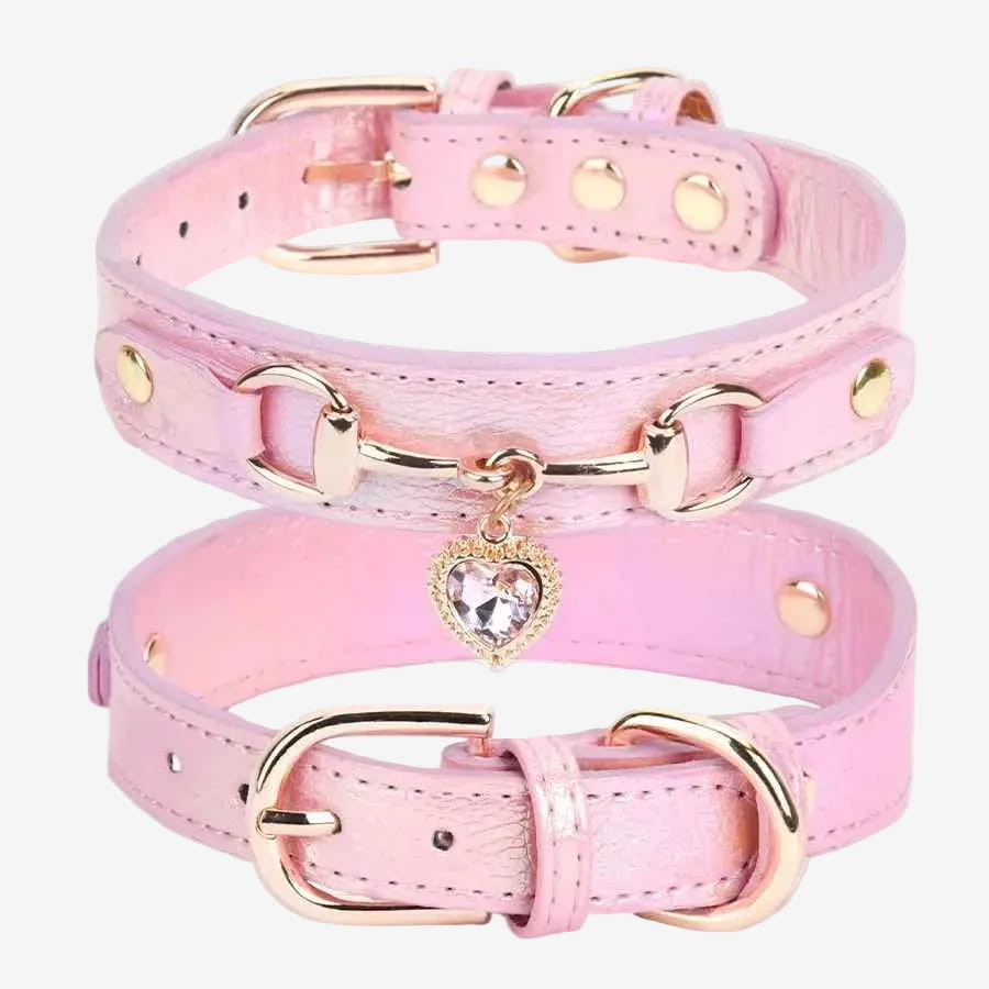 collier en cuir Pour Chien Rose | Strass Confort - Excursion Chien