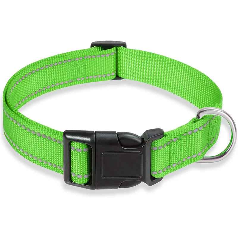 collier en nylon pour chien vert
