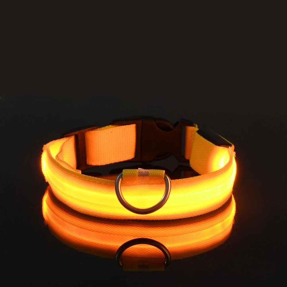 collier fluo pour chien jaune