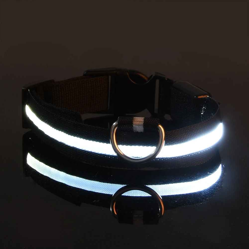 collier fluo pour chien noir