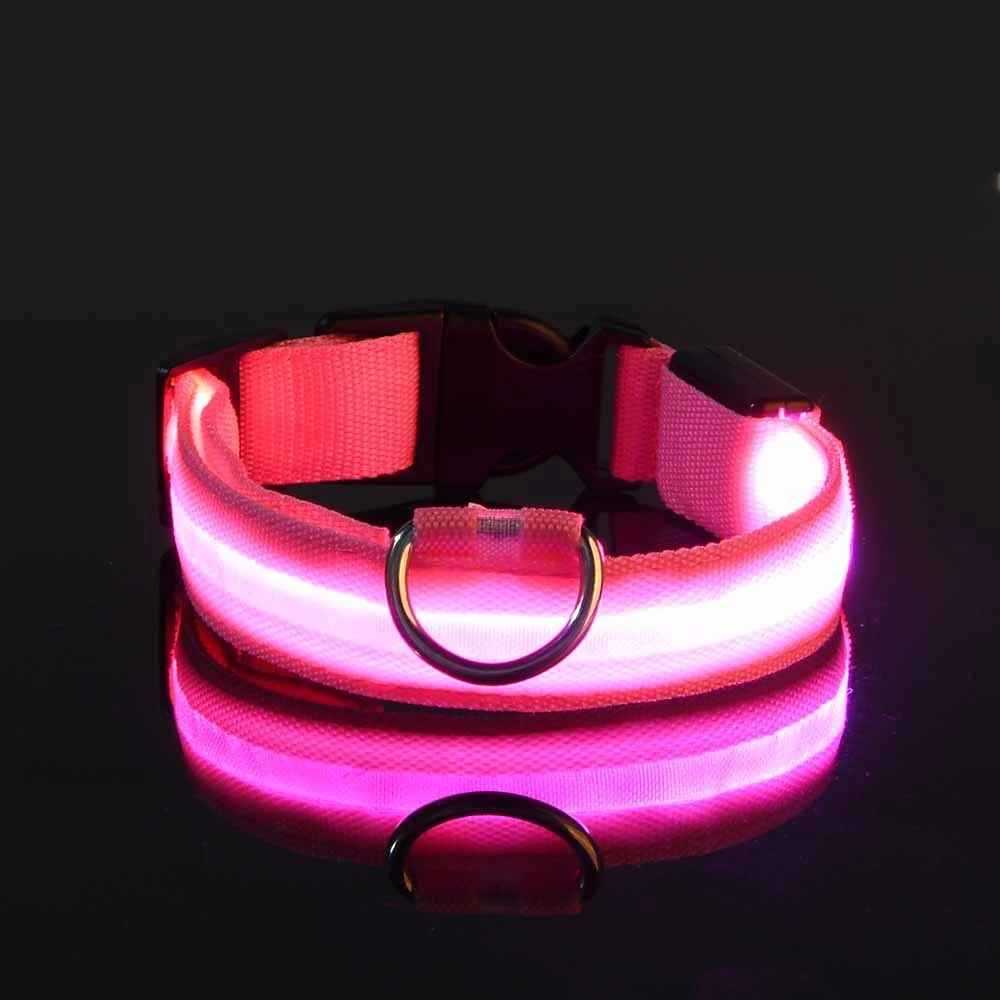 collier fluo pour chien rose