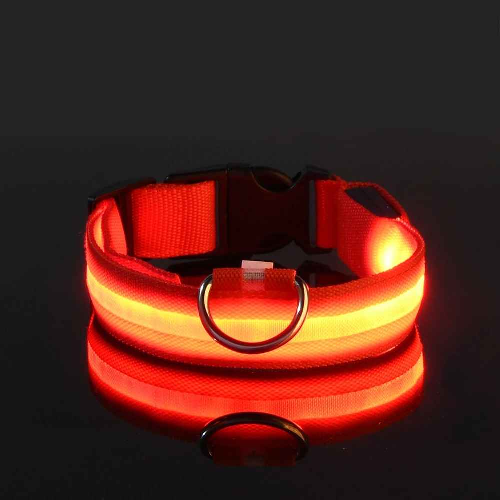 collier fluo pour chien rouge
