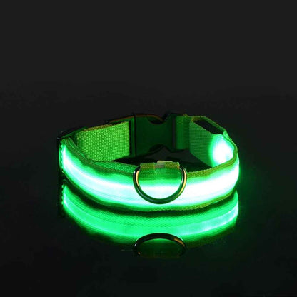 collier fluo pour chien vert
