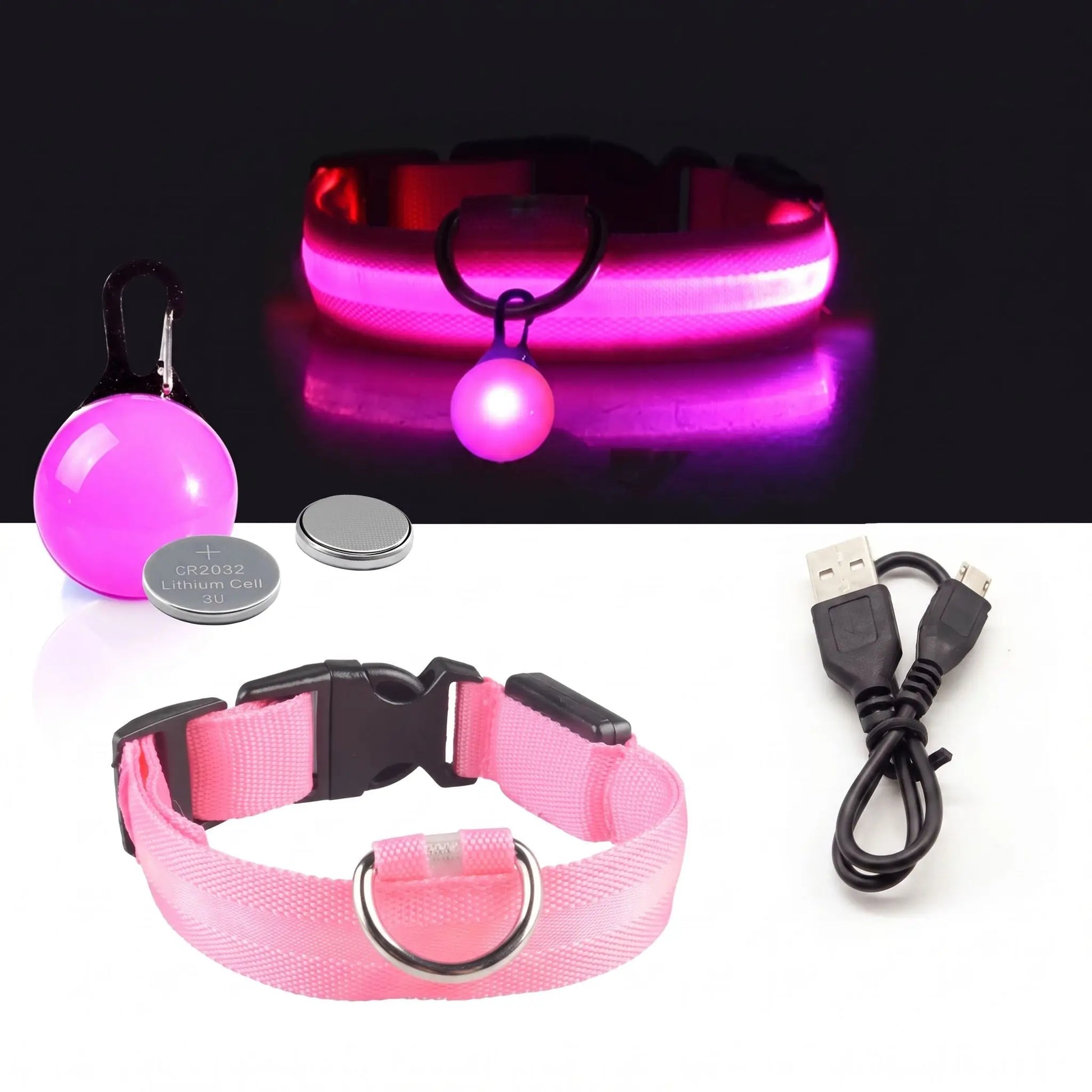 collier fluo pour chien