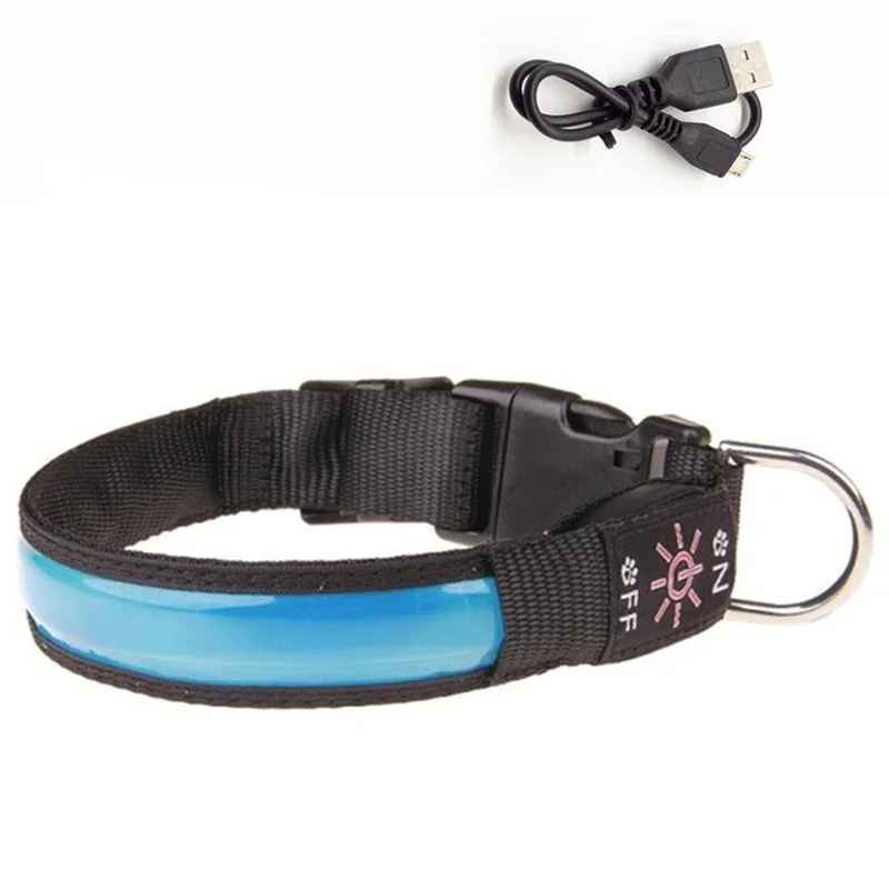 Collier Led Chien Rechargeable | Nightwalk
