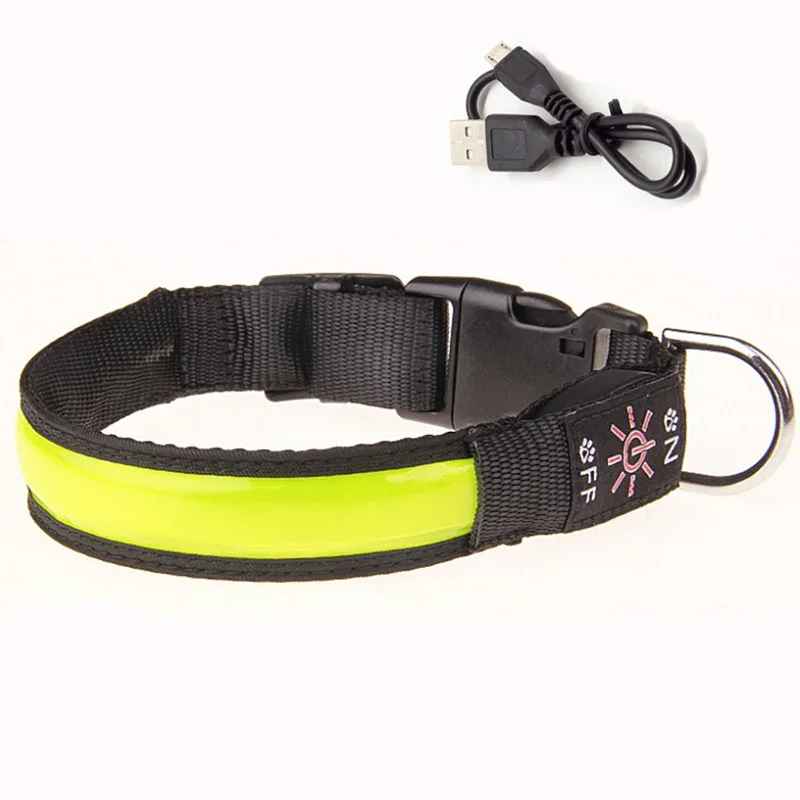 Collier Led Chien Rechargeable | Nightwalk