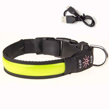 Collier Led Chien Rechargeable | Nightwalk
