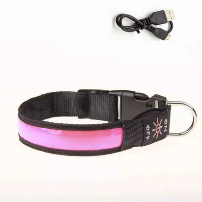 Collier Led Chien Rechargeable | Nightwalk