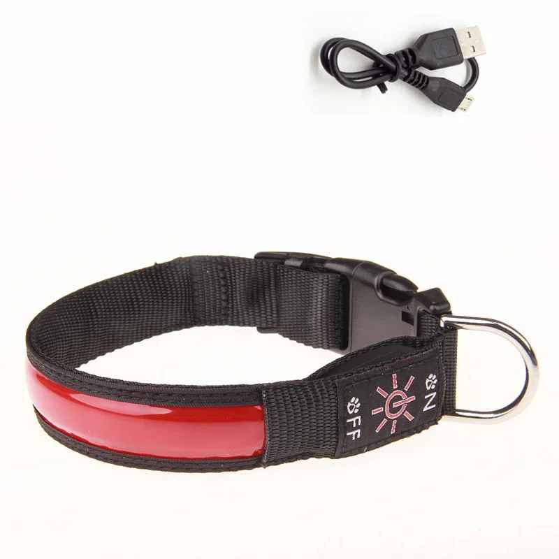 Collier Led Chien Rechargeable | Nightwalk