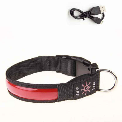 Collier Led Chien Rechargeable | Nightwalk