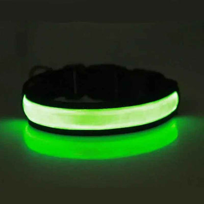 Collier Led Chien Rechargeable | Nightwalk
