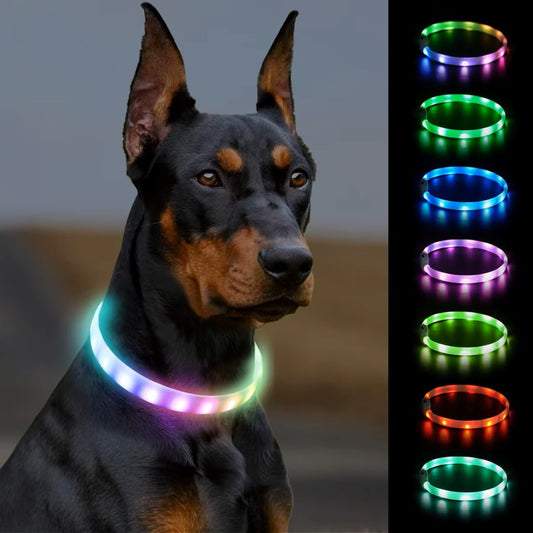 Collier lumineux pour chien | Pratique