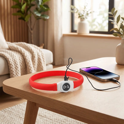 collier lumineux pour chien facile à recharger