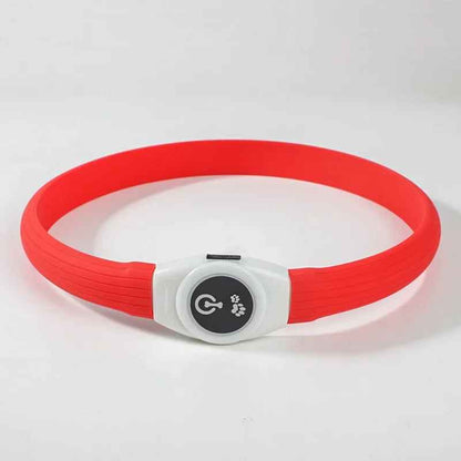 collier lumineux pour chien rouge