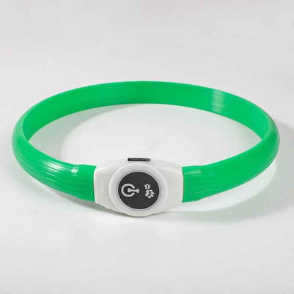 collier lumineux pour chien vert