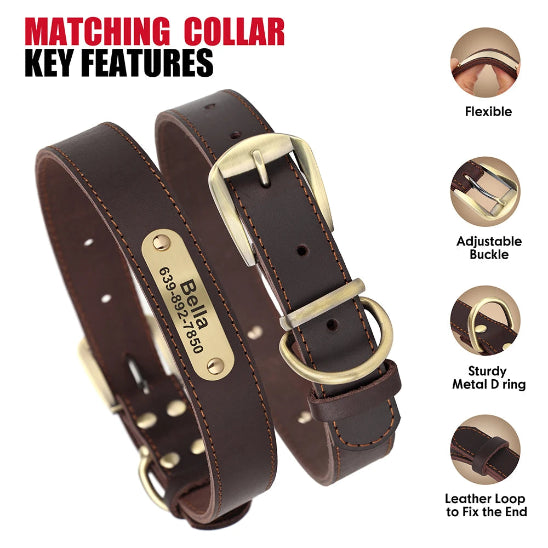 collier pour chien en cuirpersonnalisable-multifonctions