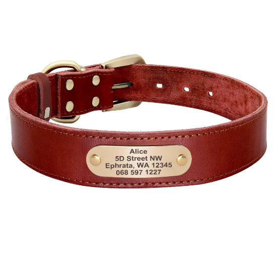 collier pour chien en cuir personnalisable rouge résistant et ajustable