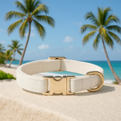 collier pour chien personnalisé en velours blanc et réglable