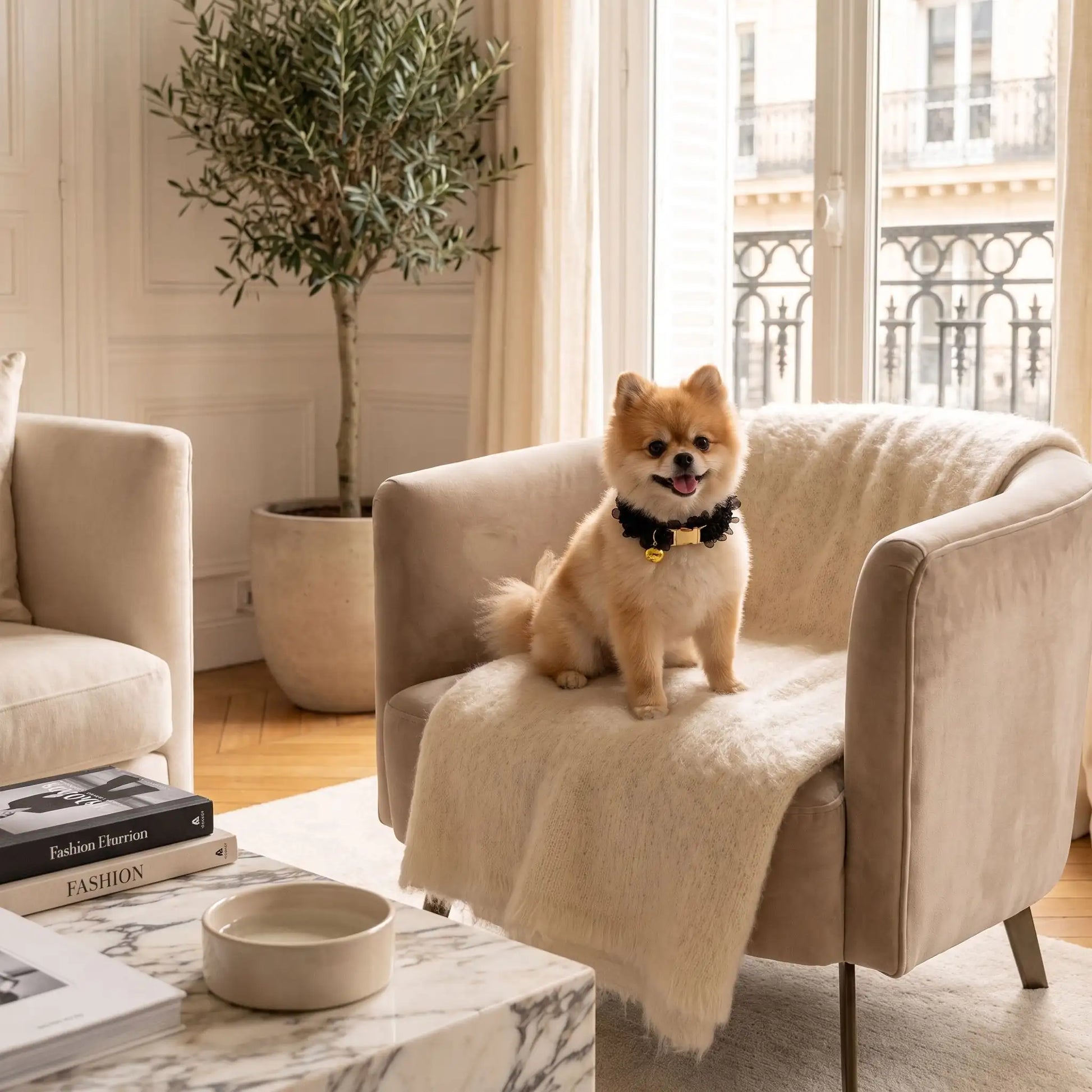  collier pour chien personnalisé prénom