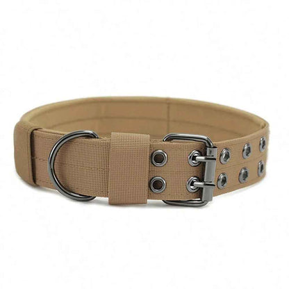 collier pour grand chien kaki
